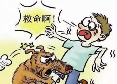 如遇惡犬咬人該怎么辦？這些知識(shí)也許能救命！